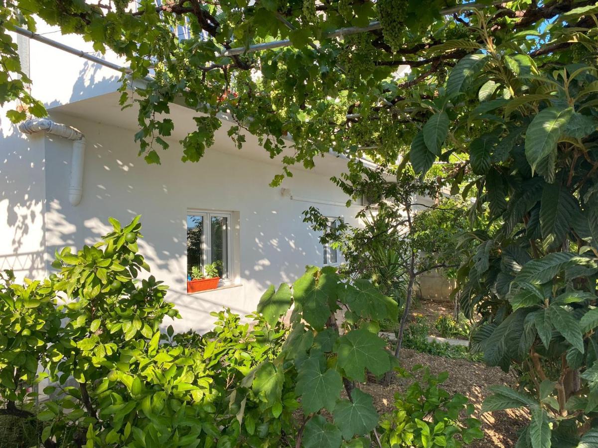 Apartman Mario Διαμέρισμα Omiš Εξωτερικό φωτογραφία
